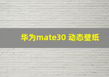 华为mate30 动态壁纸